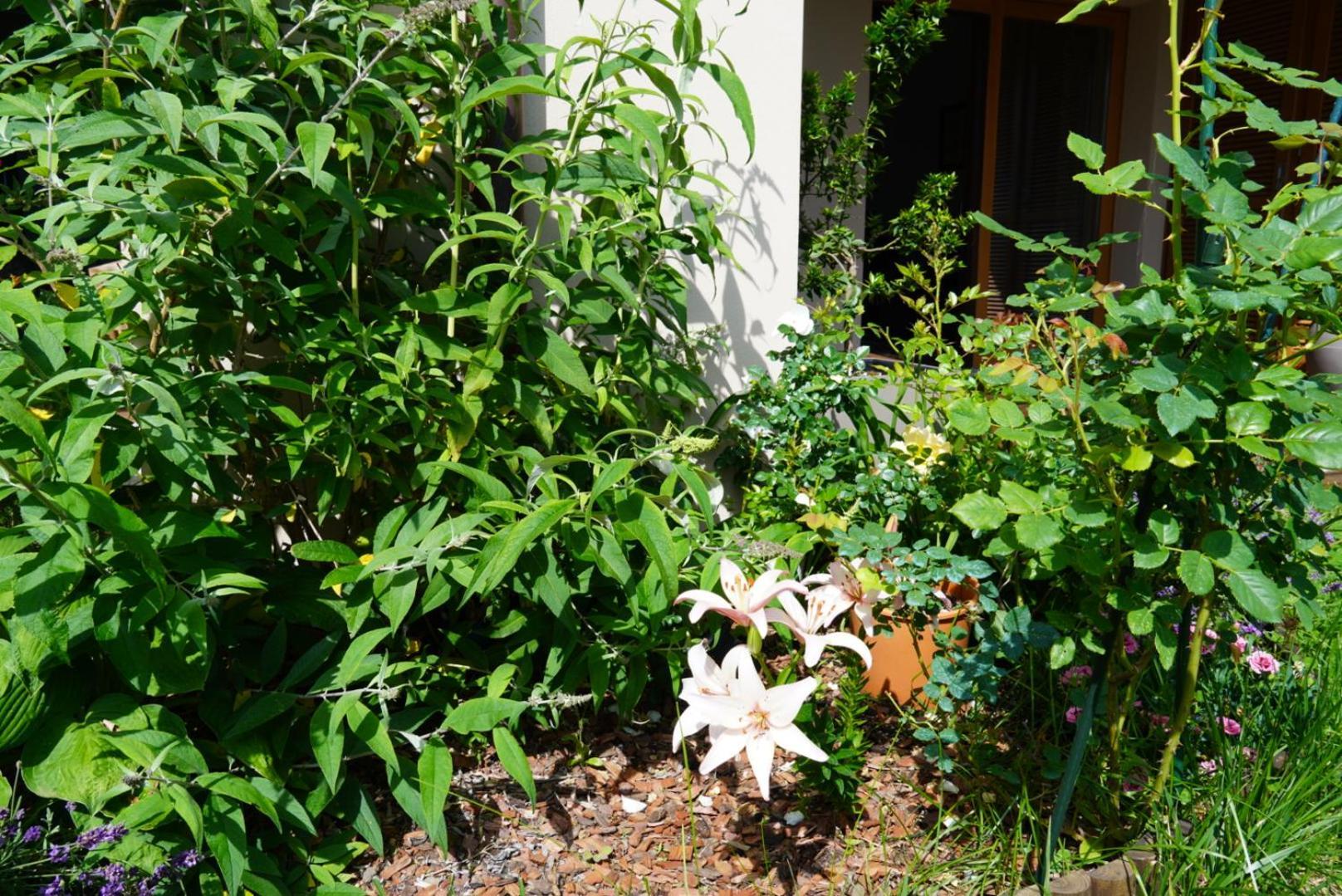 Portopiccolo Apartments With Garden And Beach Included Sistiana Buitenkant foto